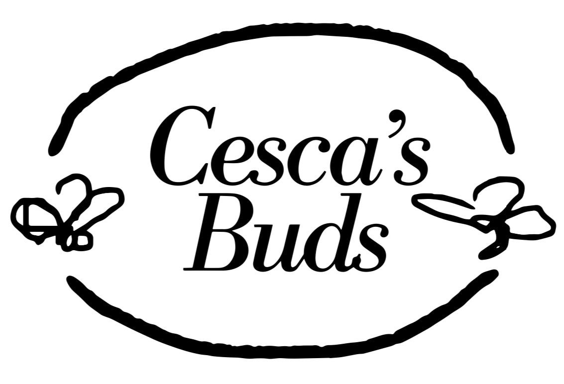 Festive Wreath Workshop with Cesca's Buds